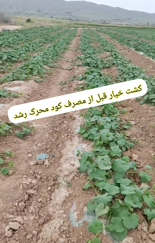 کود محرک رشد گیاهان ۲۰ لیتری