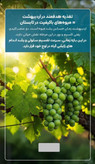 کود هیومیک اسید ۱ لیتری درمان خاکهای چسبنده و سفت خرید از نمایندگی شرکت کروا