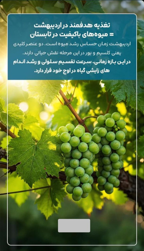 کود هیومیک اسید ۱ لیتری درمان خاکهای چسبنده و سفت خرید از نمایندگی شرکت کروا
