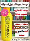 شامپو موی سر حاوی روغن مورینگا ۳۰۰ میل EXONIC